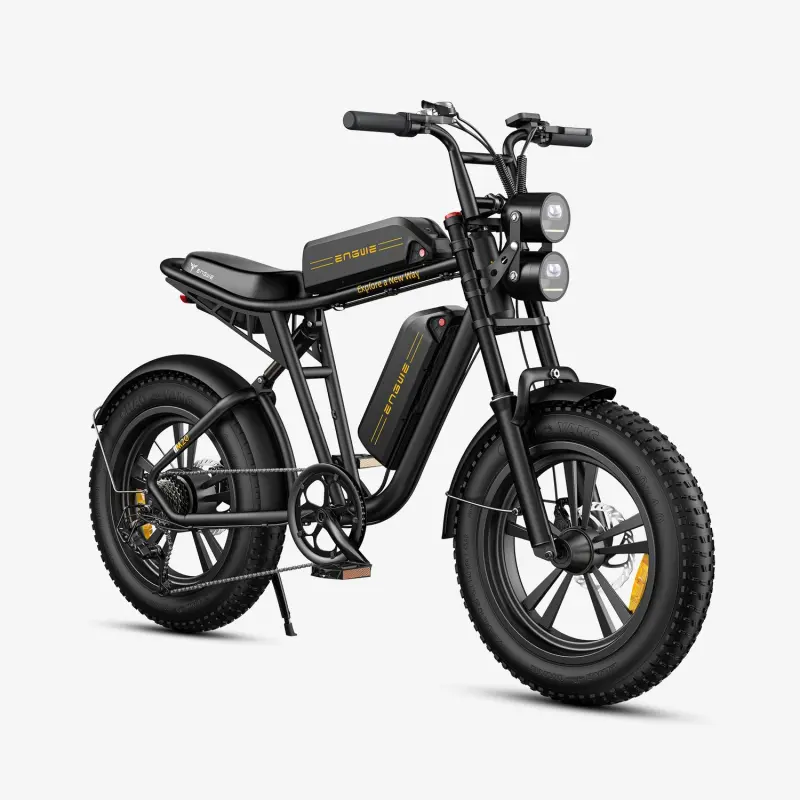 ENGWE M20 — 1